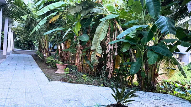 https://files.locallife.asia/images/800/1770083869207-Thiết kế chưa có tên (18).png